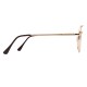 Lunettes Cibiste dorées style Terry Richardson 90's