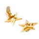Boucles d'oreilles étoile dorées pop 80's
